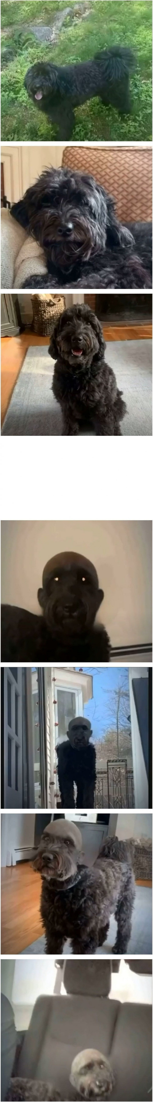 dd89c06aa8dadee0a365252051ddb749_1647231684_9924.jpg