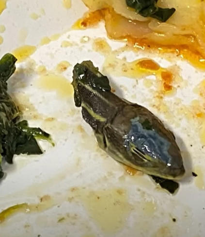 df18eba755f6a87e8366997eb7741671_1659005897_7793.jpg