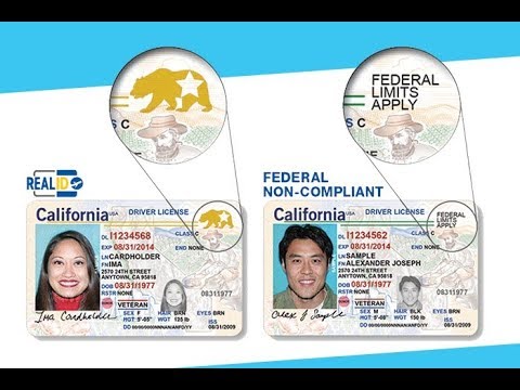 1317a460b84abbd5f70cf573a9dac267_1664371039_2283.jpg